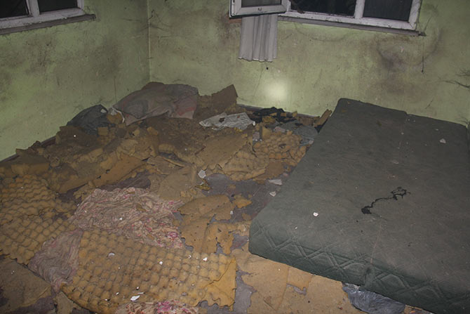 yang5-004.jpg yang5-004.jpg