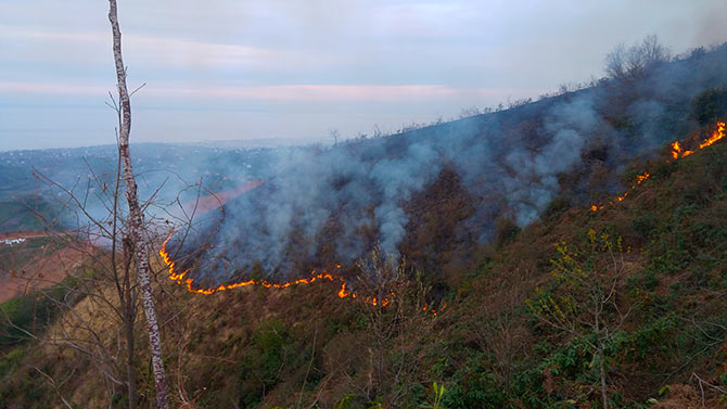 yang5-006.jpg yang5-006.jpg