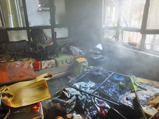 yang5.20130321181551.jpg yang5.20130321181551.jpg