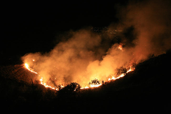 yang5.20140326084045.jpg yang5.20140326084045.jpg