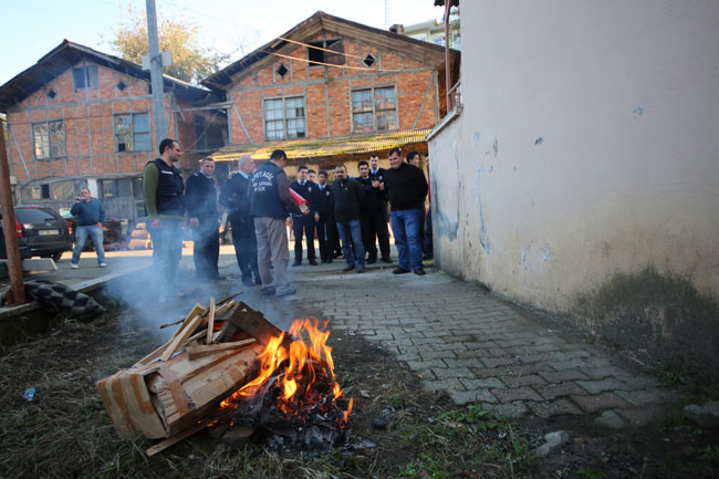 yang5.20141113233036.jpg yang5.20141113233036.jpg