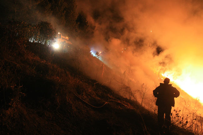 yang6.20140326084028.jpg yang6.20140326084028.jpg