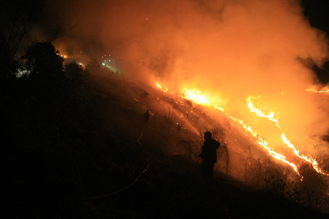 yang7.20140326084014.jpg yang7.20140326084014.jpg