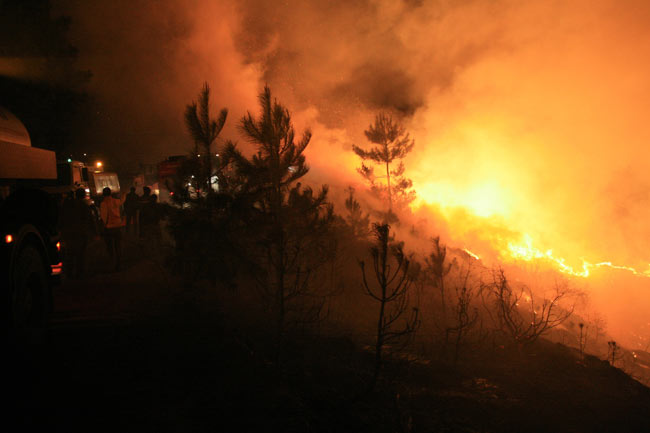 yang9.20140326083919.jpg yang9.20140326083919.jpg