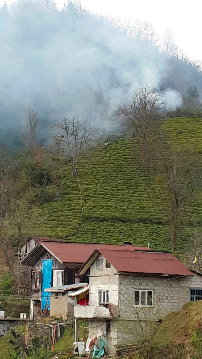 yangin06.jpg yangin06.jpg