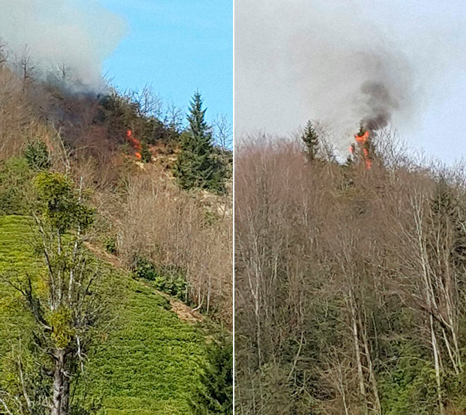 yangin09.jpg yangin09.jpg