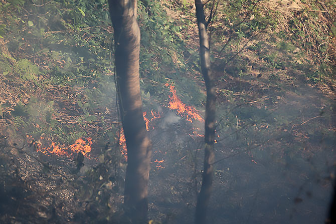 yangin4-005.jpg yangin4-005.jpg