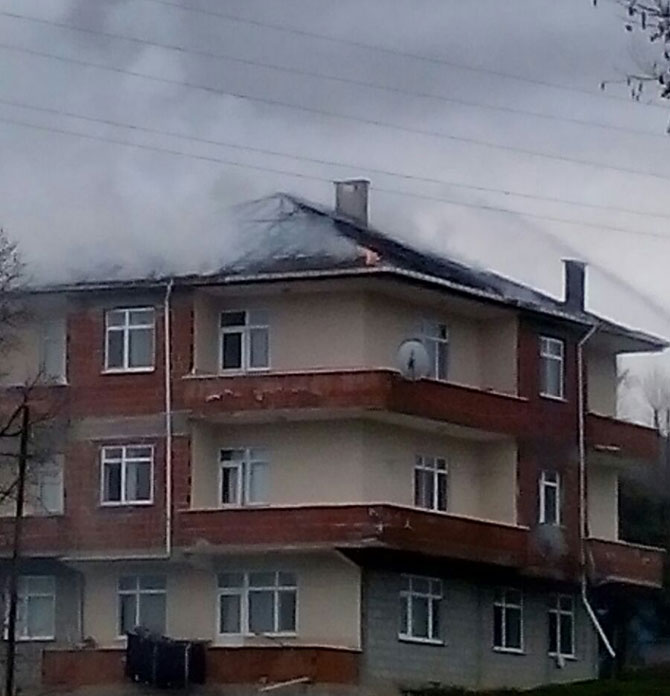 yanginn.jpg yanginn.jpg