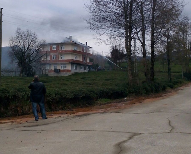 yanginnn.jpg yanginnn.jpg