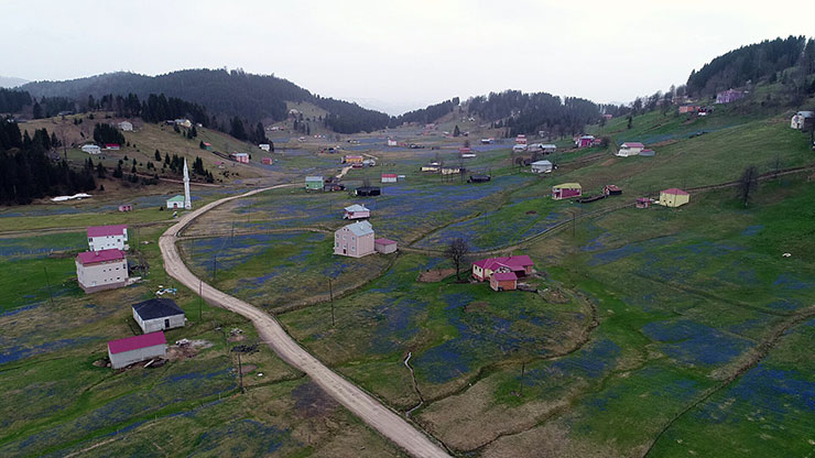 yayla1-007.jpg