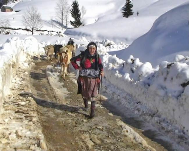 yayla1.jpg yayla1.jpg