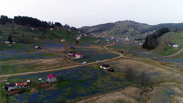 yayla12.jpg