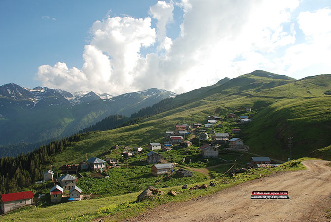 yayla2-003.jpg yayla2-003.jpg