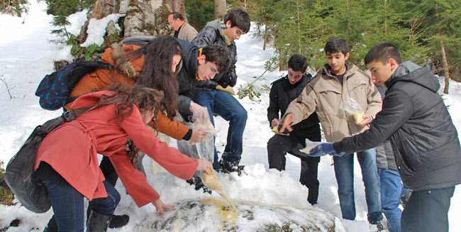 yem2.20130121165855.jpg yem2.20130121165855.jpg