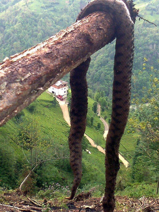 yilan-001.jpg yilan-001.jpg