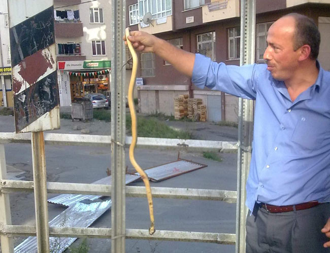 yilan1.20130913184832.jpg yilan1.20130913184832.jpg