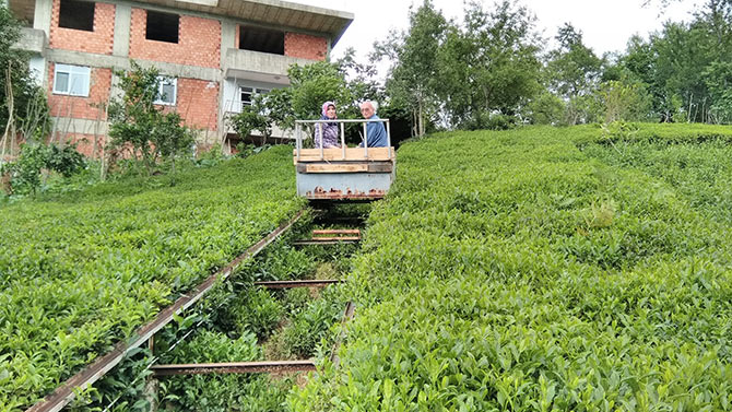 yol1-013.jpg yol1-013.jpg