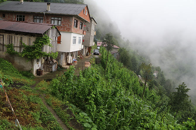 yol1-020.jpg yol1-020.jpg