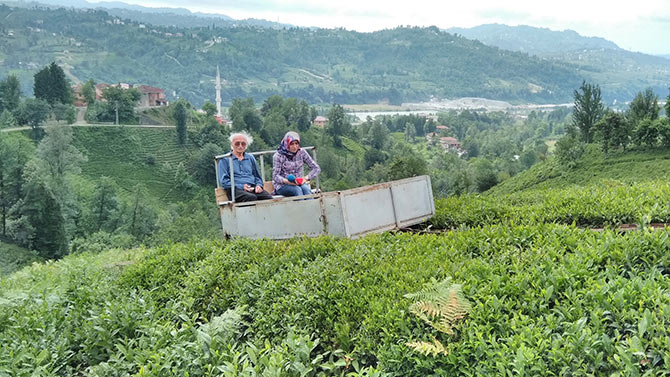 yol3-012.jpg yol3-012.jpg