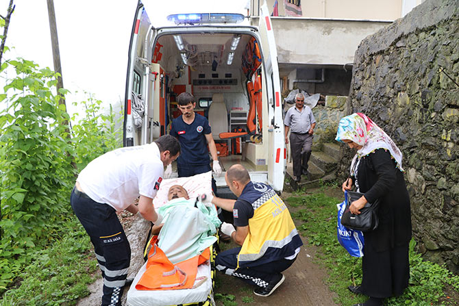 yol5-003.jpg yol5-003.jpg