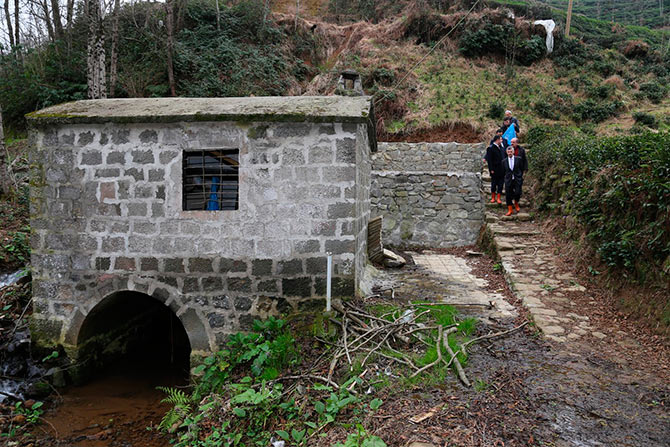 yol5-005.jpg yol5-005.jpg