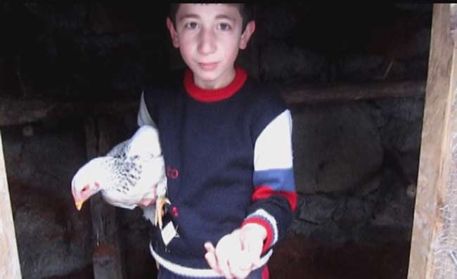 yumjurta.jpg yumjurta.jpg